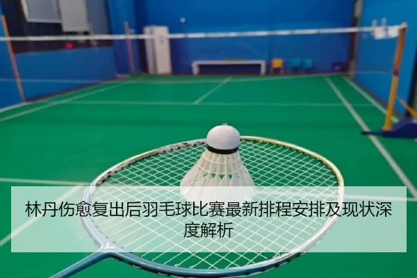 林丹伤愈复出后羽毛球比赛最新排程安排及现状深度解析