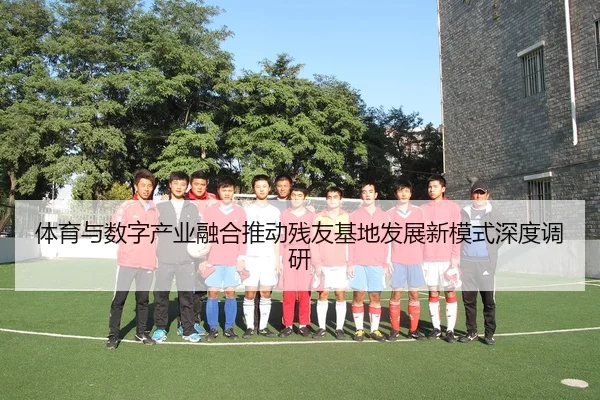 体育与数字产业融合推动残友基地发展新模式深度调研